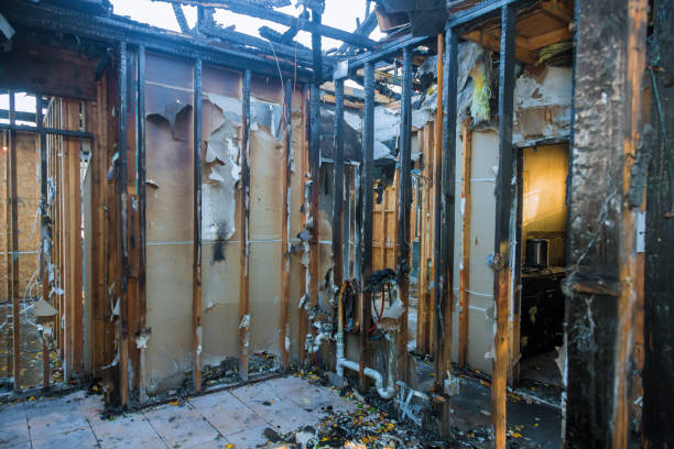 Professional Fire Damage Removal technician working in Glendale, MO